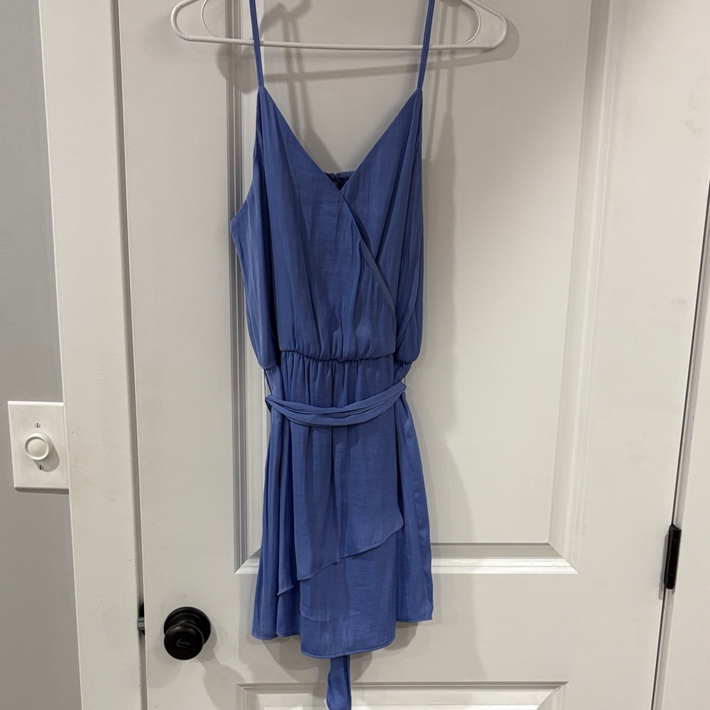 Naked Zebra Blue Mini Dress